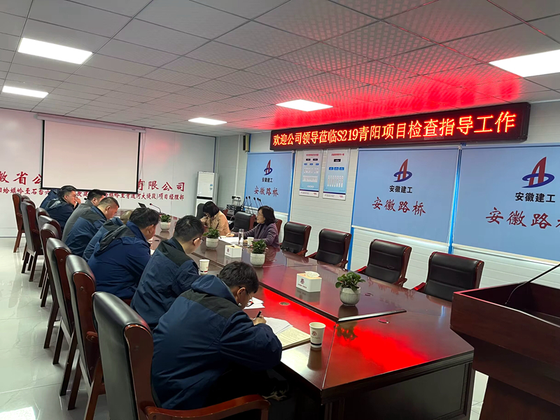 公司黨委委員、紀(jì)委書記王鵬到S219青陽改建項(xiàng)目調(diào)研指導(dǎo)工作